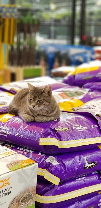 The Home Depot 7