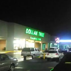 Dollar Tree ico