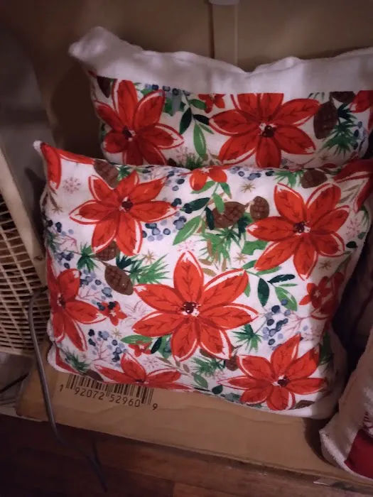 Dollar Tree 2