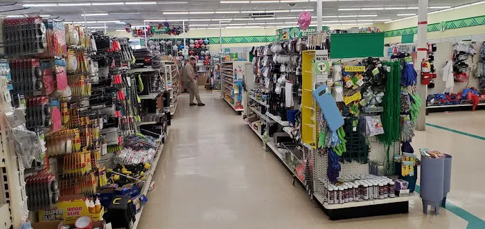 Dollar Tree 8