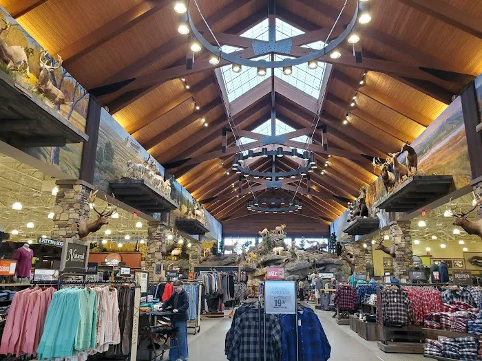 Cabela's 1