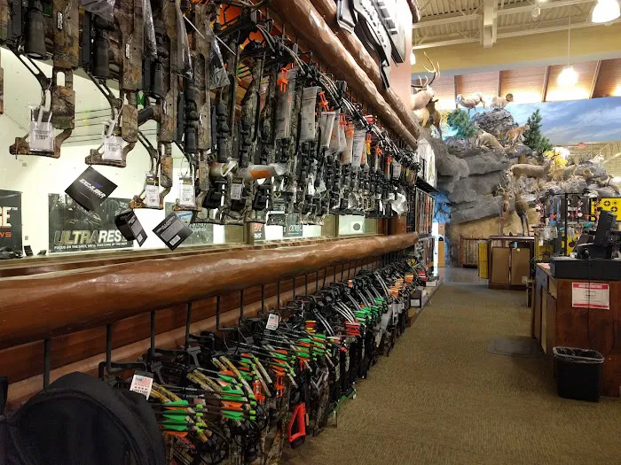 Cabela's 4
