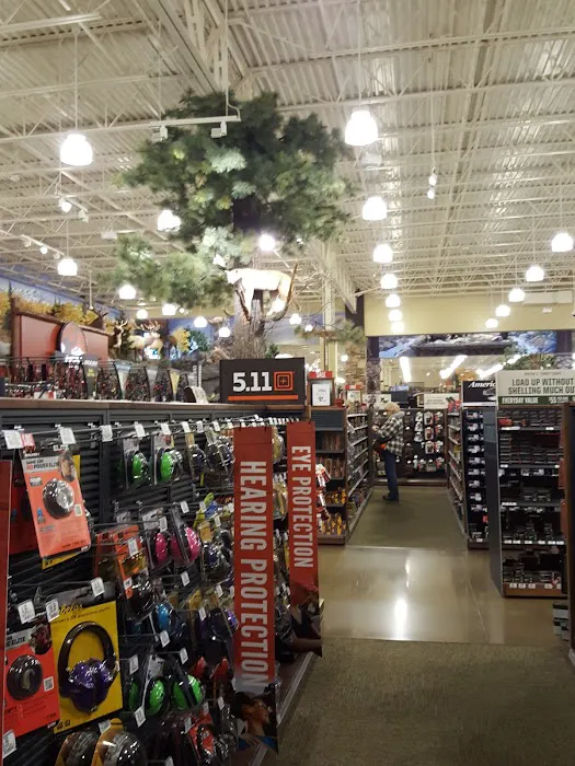Cabela's 5