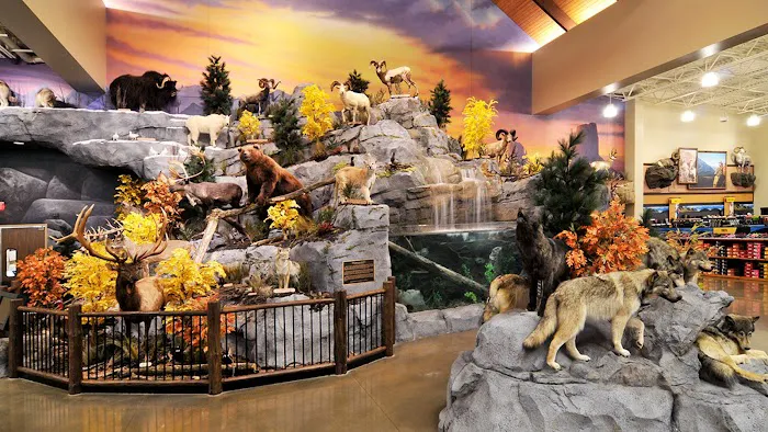 Cabela's 7
