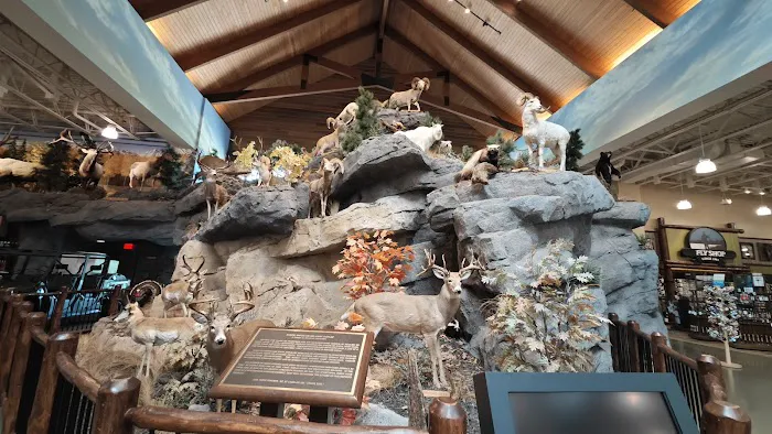 Cabela's 8