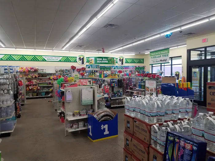 Dollar Tree 4
