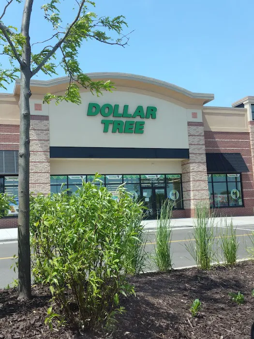 Dollar Tree 0