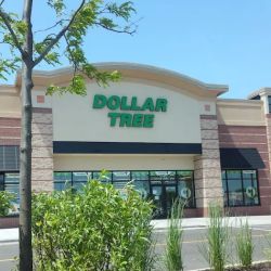 Dollar Tree ico