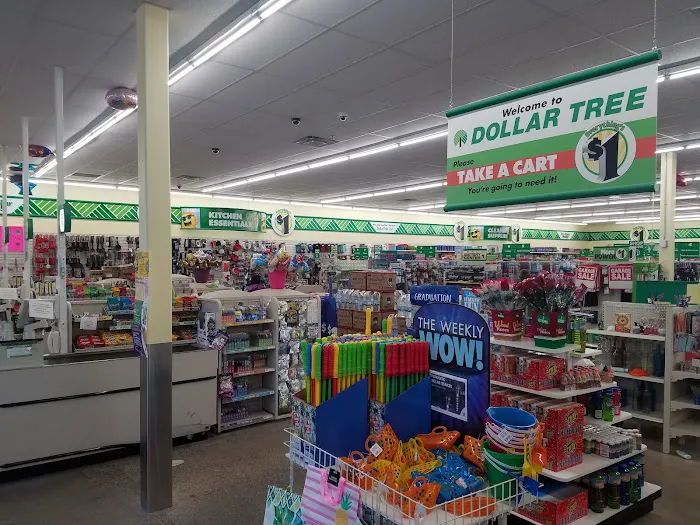 Dollar Tree 6