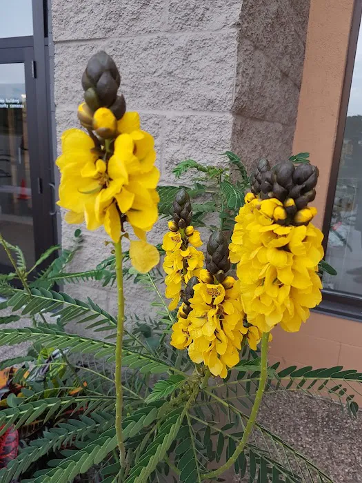 Frattallone's Hardware & Garden 8