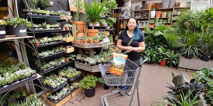 Bachman's Floral, Home & Garden 6