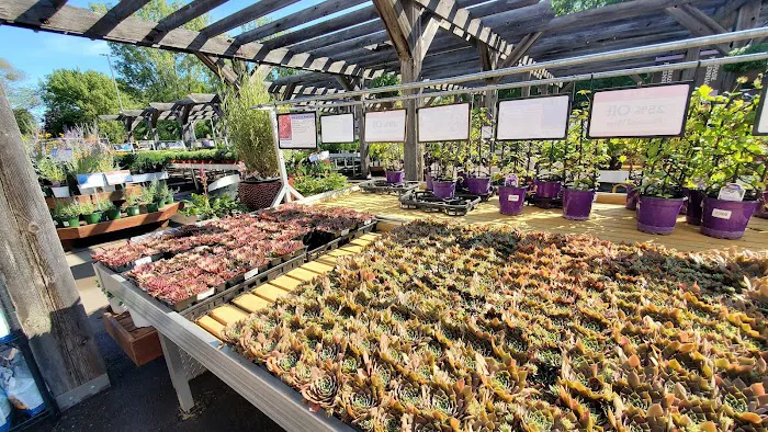 Bachman's Floral, Home & Garden 5