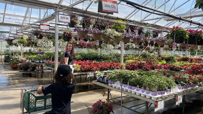 Bachman's Floral, Home & Garden 0
