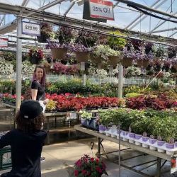 Bachman's Floral, Home & Garden ico