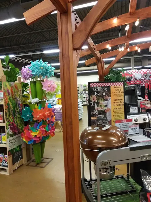Bachman's Floral, Home & Garden 4