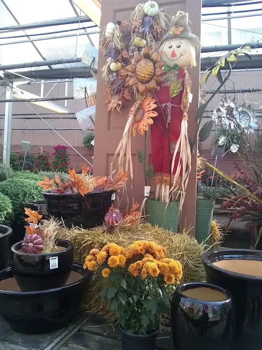 Bachman's Floral, Home & Garden 8