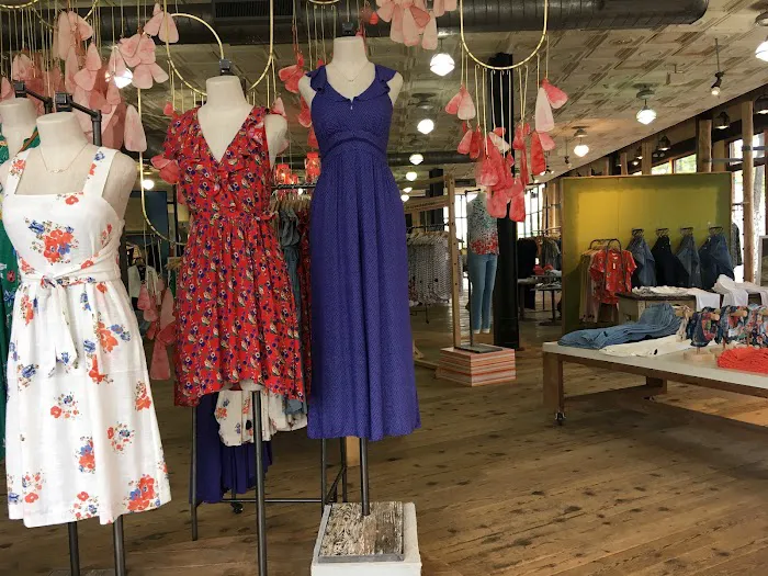 Anthropologie 2