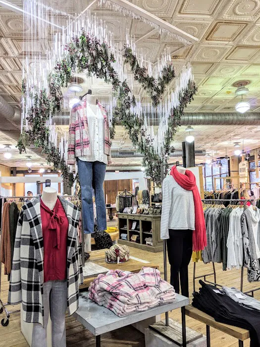 Anthropologie 1