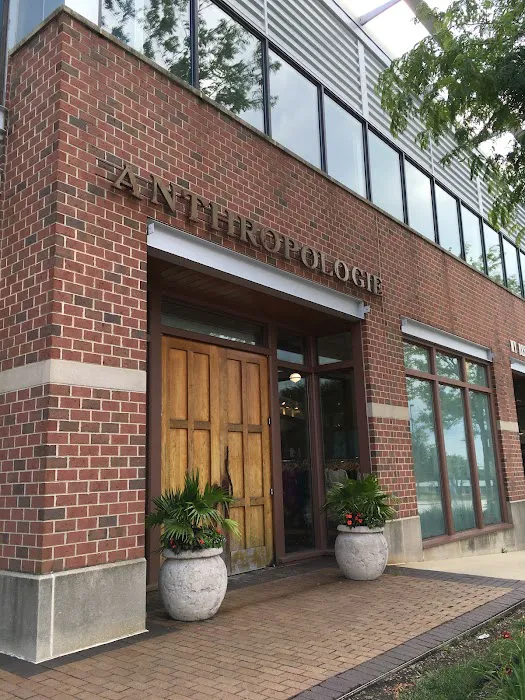 Anthropologie 3