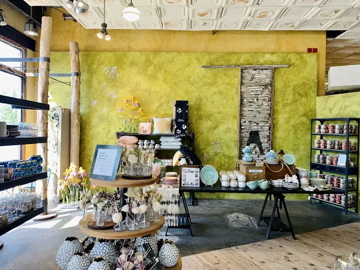 Anthropologie 7