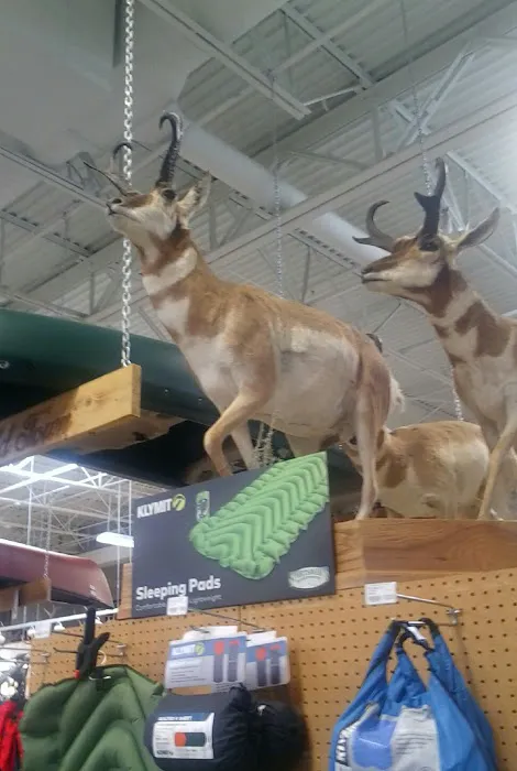 Sportsman's Warehouse 1