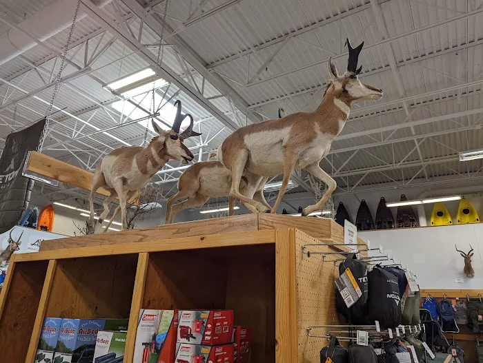 Sportsman's Warehouse 3