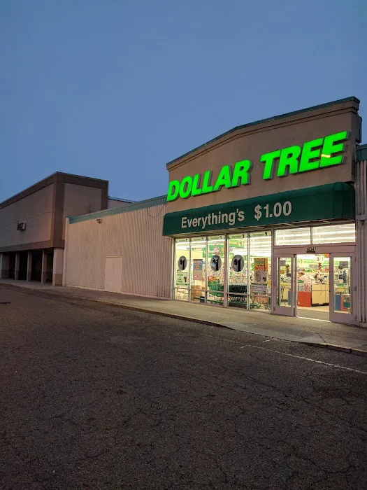 Dollar Tree 6