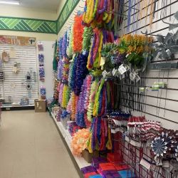 Dollar Tree ico