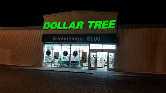 Dollar Tree 7