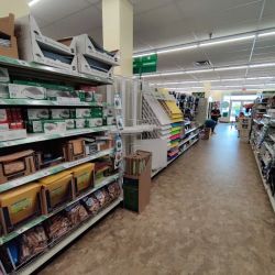 Dollar Tree ico