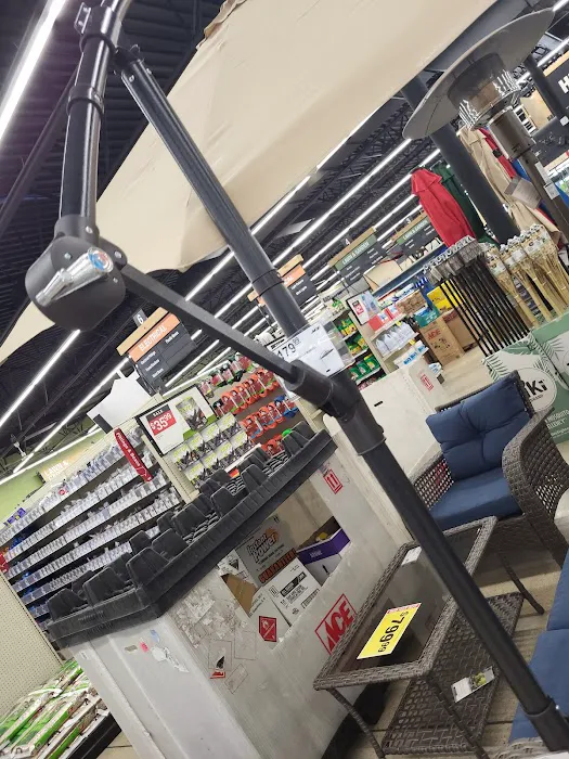 Merrillville Ace Hardware 2