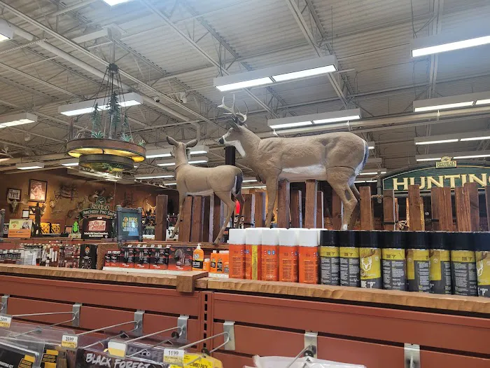 Bass Pro Shops 5