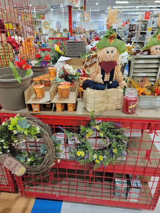 Ollie's Bargain Outlet 7