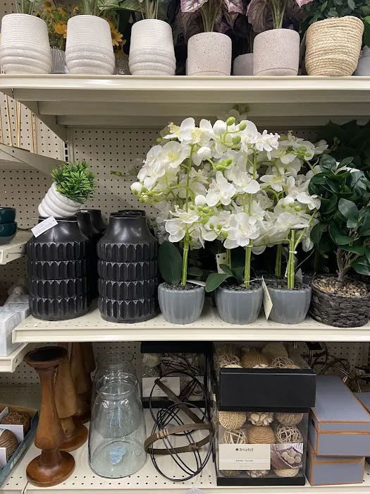 Big Lots 3