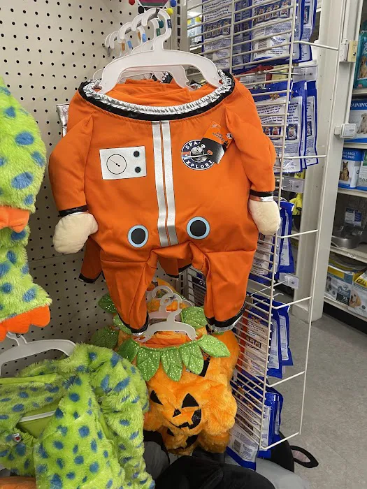 Big Lots 7