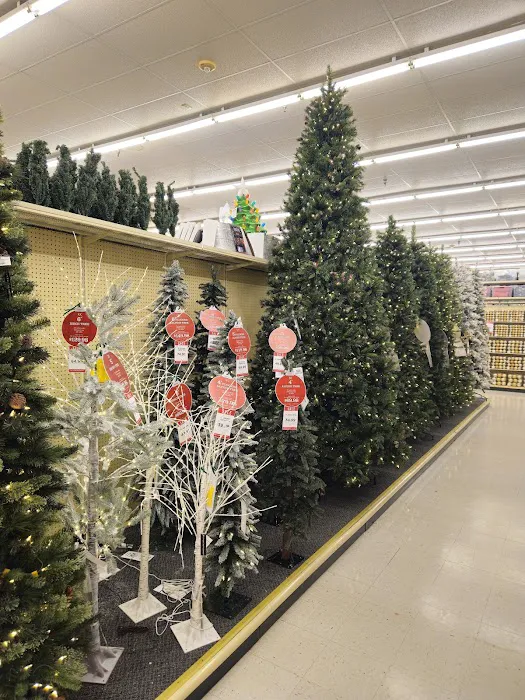 Hobby Lobby 2