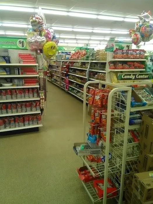 Dollar Tree 7