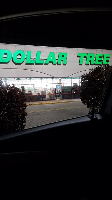Dollar Tree 5