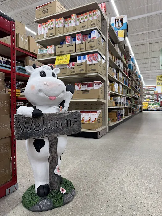 Ollie's Bargain Outlet 5
