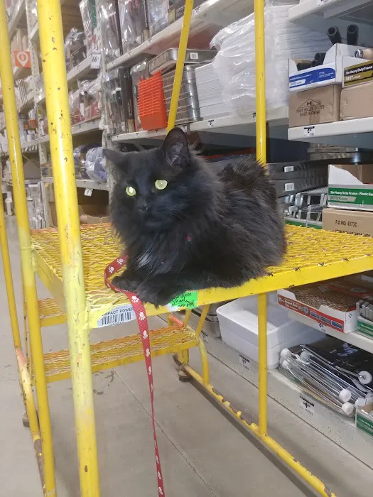 The Home Depot 5