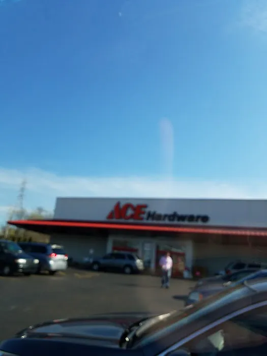 Ace Hardware 7