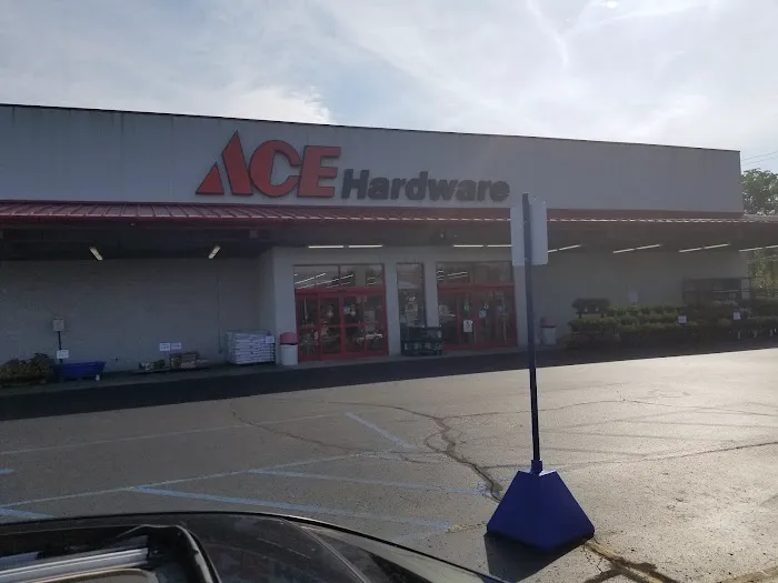 Ace Hardware 8