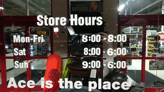 Ace Hardware 9