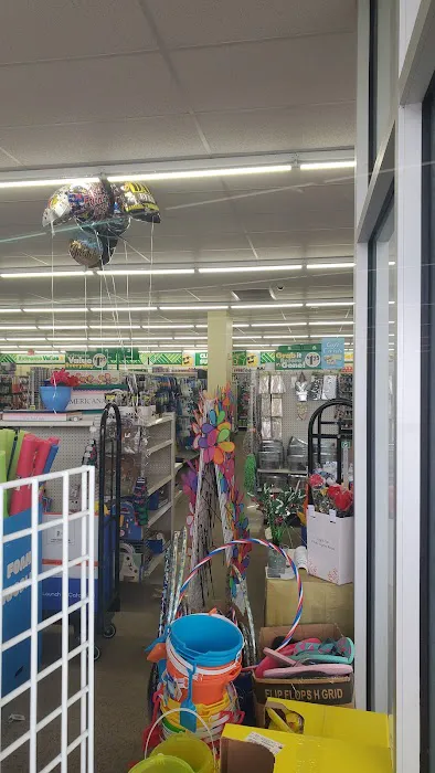 Dollar Tree 3