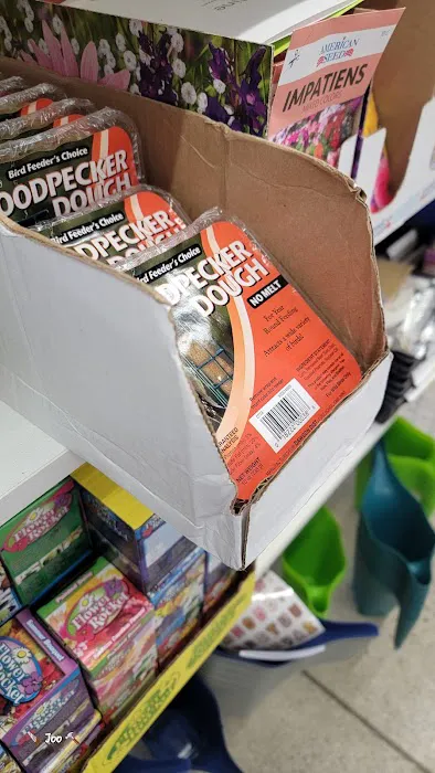 Dollar Tree 1