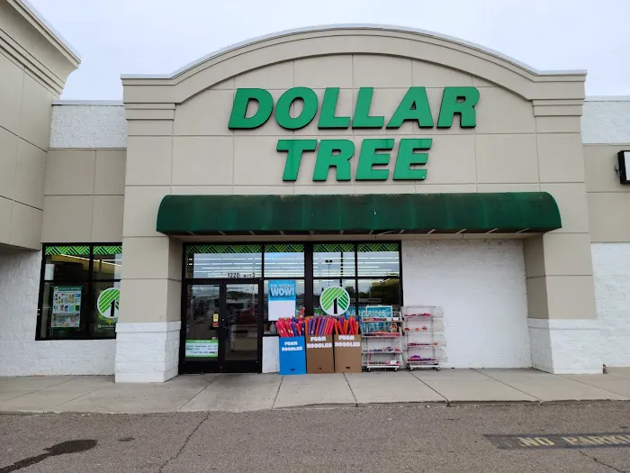 Dollar Tree 6