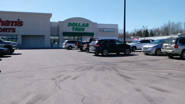 Dollar Tree 2