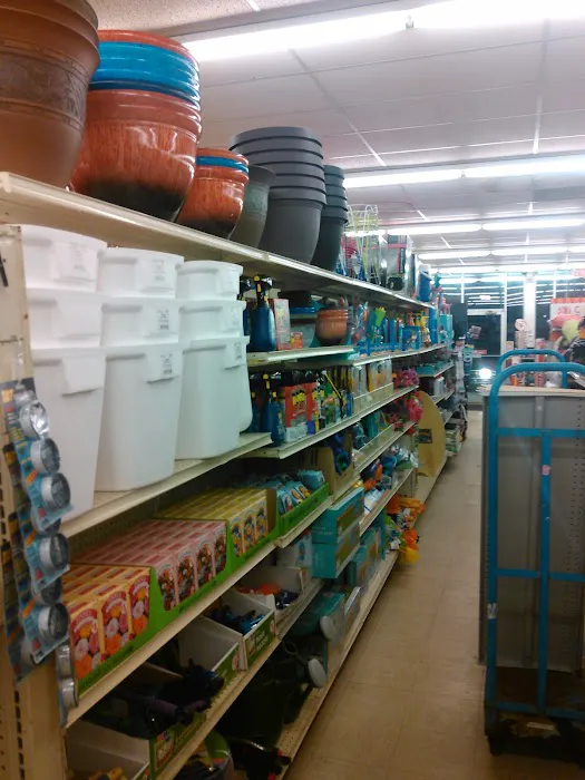 Family Dollar 3