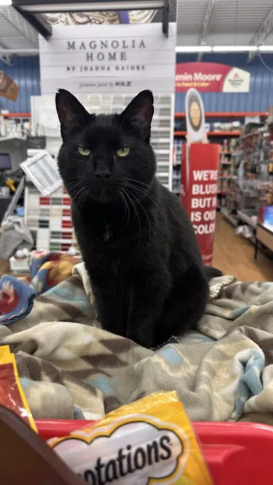Wolverine Ace Hardware 9