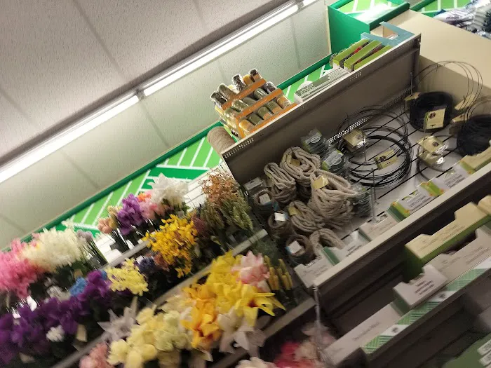 Dollar Tree 3
